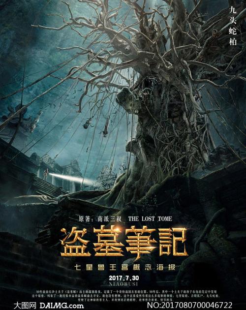 九州大学商业管理文凭证书